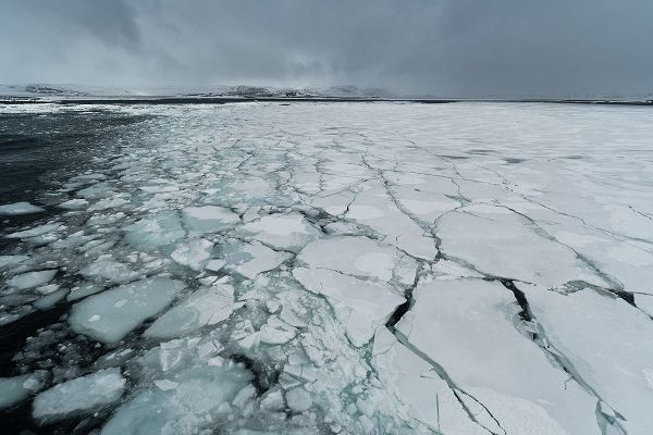 Pitamitz, Sergio 아티스트의 Murchison Bay-Murchisonfjorden-Nordaustlandet-Svalbard Islands-Norway작품입니다.